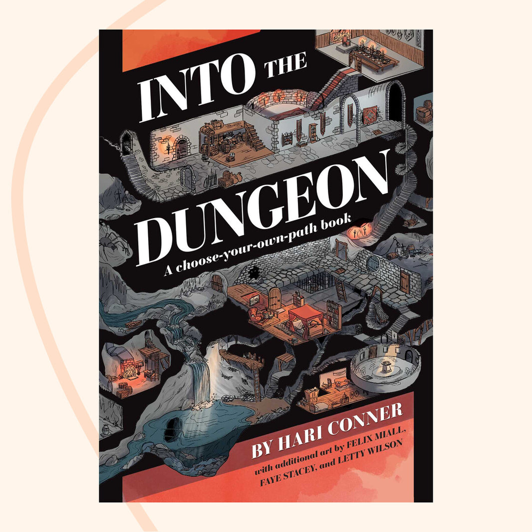 Into the Dungeon Gamebook front cover